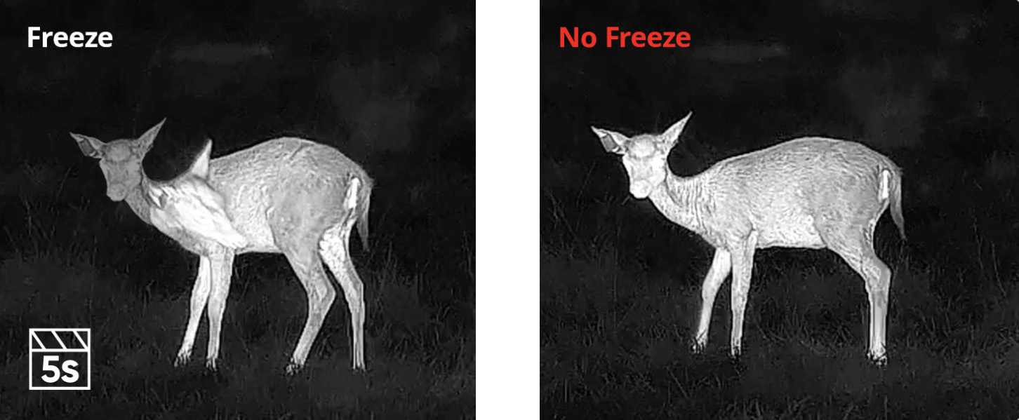 hikmicro STELLAR 3.0 no_freeze